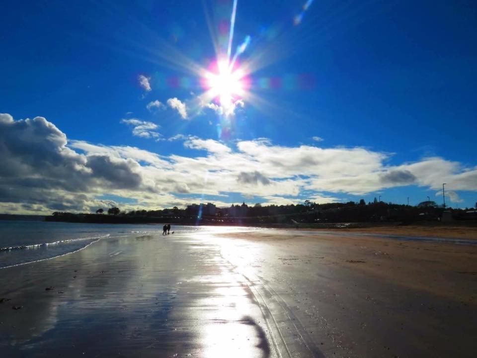 Crowndale Torquay - Exclusively For Adults Bed & Breakfast Eksteriør bilde